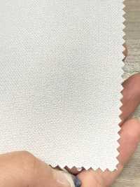 5510P ポリエステル ハードタイプ ドット芯[芯地] ノンネーム サブ画像