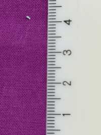 B18000Z 20s シーチング 半折[生地] VANCET サブ画像