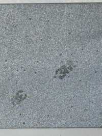 M-8912-PKK M-8912 スコッチライト ピンキングパイピング[リボン・テープ・コード] STAR BRAND (星加) サブ画像