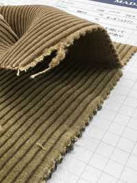 ND7025 シャンカール 9Wオーガニックコール ニドムバイオ加工[生地] 雲井美人 Kumoi Beauty (中部別珍コール天) サブ画像