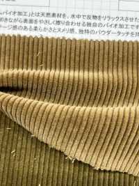 ND7025 シャンカール 9Wオーガニックコール ニドムバイオ加工[生地] 雲井美人 Kumoi Beauty (中部別珍コール天) サブ画像