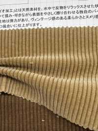 ND7005 9Wズボンコール ニドムバイオ加工[生地] 雲井美人 Kumoi Beauty (中部別珍コール天) サブ画像