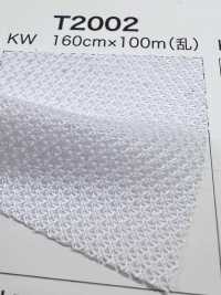 T2002 サテン メッシュ[生地] 井上ニット サブ画像