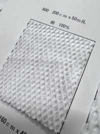 800 綿 メッシュ[生地] 井上ニット サブ画像