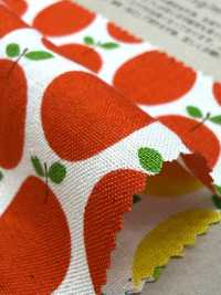 850612 スケア 未晒コットン Little Pocket "Rindo"[生地] VANCET サブ画像