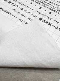 KINANADAKI-11 桐七炊き11 すてきな こうみっちゃん きながにいこう加工[生地] 小松和テキスタイル サブ画像