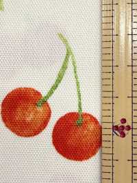 SP2650 Fruits Garden オックス (丸巻)[生地] コスモテキスタイル サブ画像