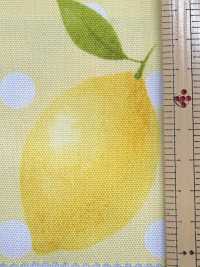SP2650 Fruits Garden オックス (丸巻)[生地] コスモテキスタイル サブ画像
