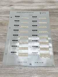 SIC-7327 オーガニックコットントーションレース/8ミリ SHINDO(SIC) サブ画像