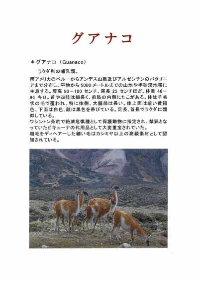1676 深喜毛織 日本製 グアナコ ブレンド カシミヤ 生地 FUKAKI サブ画像
