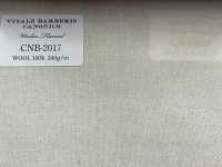 CNB2017 CANONICO(カノニコ) 定番 WOOLEN FLANNEL ライトベージュ 無地[生地] CANONICO(カノニコ) サブ画像