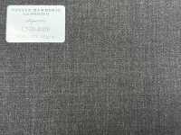 CNB4009 CANONICO(カノニコ) 定番 Super110