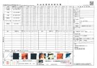 TPT1002 石見神楽 プリント裏地 リピート柄 サブ画像